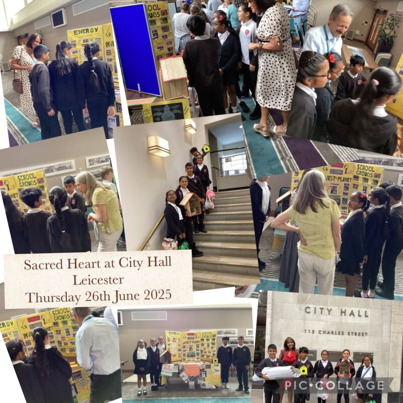 Image for the Tweet beginning: 🌟 AMAZING time at Eco